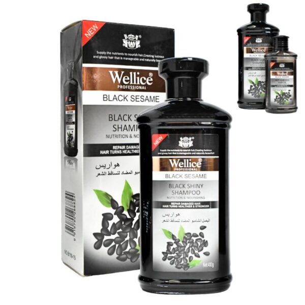 Shampoo Negro Wellice Anti Caida De Cebolla 400G