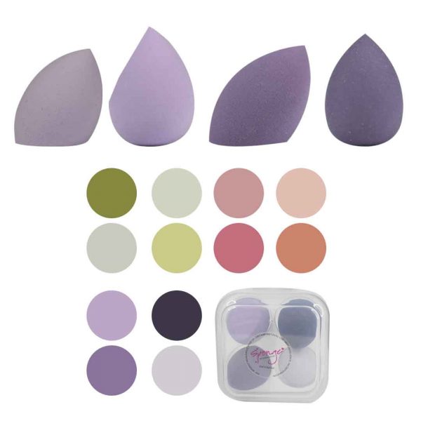 Kit de esponjas en caja de plástico sponge 4 unidades